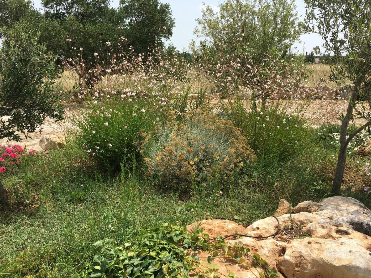 فيلا Trulli Relais Casa Gemma مارتينا فرانكا المظهر الخارجي الصورة